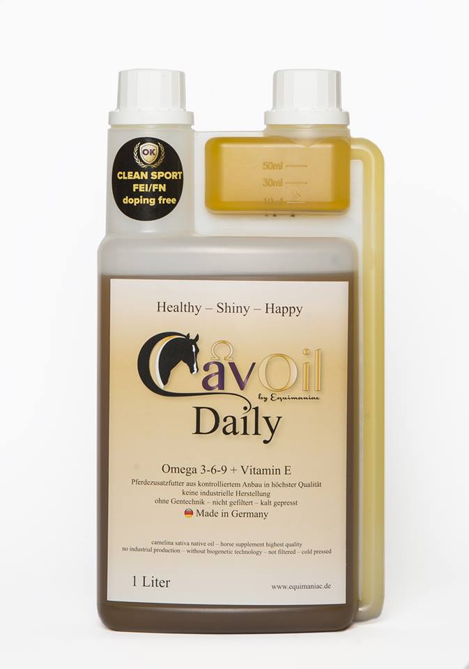 CavOil Daily