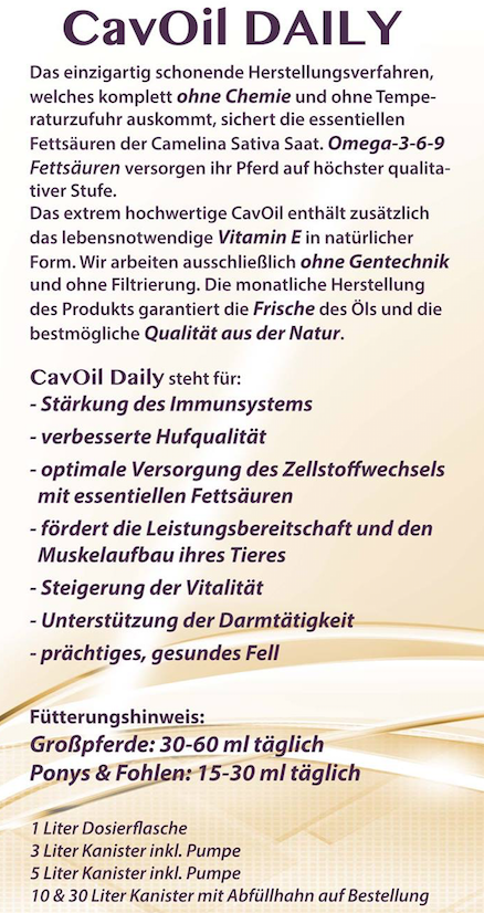 CavOil Daily