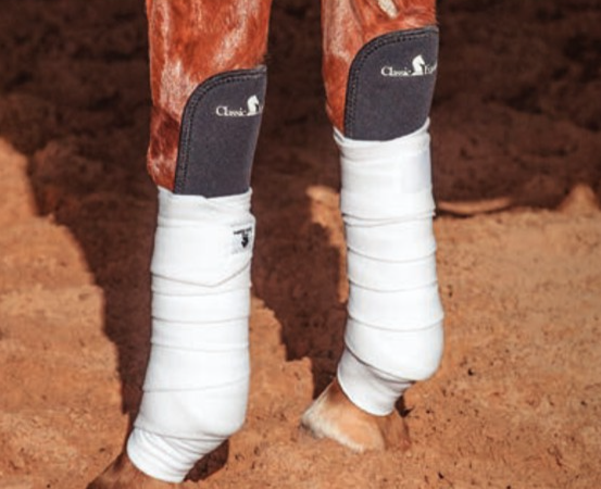 CE Knee Guard