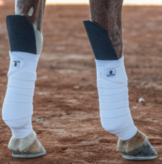 Classic Equine Knee Guard